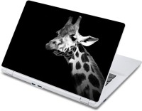 ezyPRNT Giraffe's Face Wildlife (13 to 13.9 inch) Vinyl Laptop Decal 13   Laptop Accessories  (ezyPRNT)