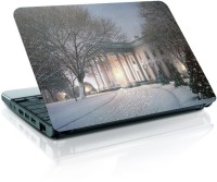 Shopmania MULTICOLOR-650 Vinyl Laptop Decal 15.6   Laptop Accessories  (Shopmania)