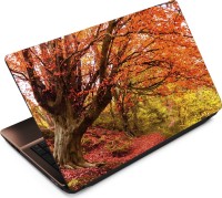 Finest Autumn ATM032 Vinyl Laptop Decal 15.6   Laptop Accessories  (Finest)