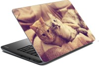 meSleep Cat 70-526 Vinyl Laptop Decal 15.6   Laptop Accessories  (meSleep)