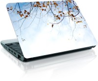 Shopmania MULTICOLOR-410 Vinyl Laptop Decal 15.6   Laptop Accessories  (Shopmania)