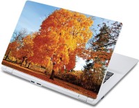 ezyPRNT The Yellow Trees Nature (13 to 13.9 inch) Vinyl Laptop Decal 13   Laptop Accessories  (ezyPRNT)