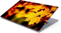 Lovely Collection autumn leafs Vinyl Laptop Decal 15.6   Laptop Accessories  (Lovely Collection)