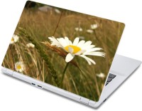 ezyPRNT Blooming Daisy Flower (13 to 13.9 inch) Vinyl Laptop Decal 13   Laptop Accessories  (ezyPRNT)
