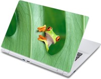 ezyPRNT Red Eyed Tree Frog Nature (13 to 13.9 inch) Vinyl Laptop Decal 13   Laptop Accessories  (ezyPRNT)