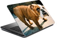 meSleep Dog LS-57-029 Vinyl Laptop Decal 15.6   Laptop Accessories  (meSleep)