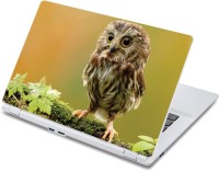 ezyPRNT Cute Owl's Kid (13 to 13.9 inch) Vinyl Laptop Decal 13   Laptop Accessories  (ezyPRNT)