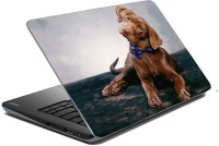 meSleep Dog LS-57-075 Vinyl Laptop Decal 15.6   Laptop Accessories  (meSleep)