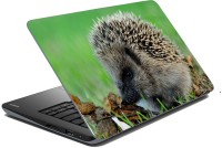meSleep Wild Life 70-110 Vinyl Laptop Decal 15.6   Laptop Accessories  (meSleep)