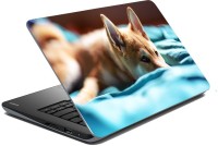 meSleep Dog 70-722 Vinyl Laptop Decal 15.6   Laptop Accessories  (meSleep)