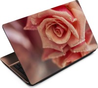 Finest Flower FL57 Vinyl Laptop Decal 15.6   Laptop Accessories  (Finest)