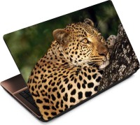 Anweshas Leopard LP063 Vinyl Laptop Decal 15.6   Laptop Accessories  (Anweshas)