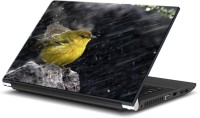 ezyPRNT The Bird In Drizzle (15 to 15.6 inch) Vinyl Laptop Decal 15   Laptop Accessories  (ezyPRNT)