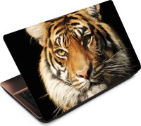 Anweshas Tiger T101 Vinyl Laptop Decal 15.6   Laptop Accessories  (Anweshas)