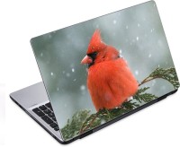 ezyPRNT Beautiful Snow Bird (14 to 14.9 inch) Vinyl Laptop Decal 14   Laptop Accessories  (ezyPRNT)