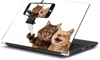 Dadlace Funny Selfie Vinyl Laptop Decal 13.3   Laptop Accessories  (Dadlace)
