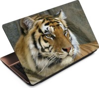 Anweshas Tiger T023 Vinyl Laptop Decal 15.6   Laptop Accessories  (Anweshas)