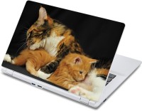ezyPRNT Cute Kittens Pet Animal (13 to 13.9 inch) Vinyl Laptop Decal 13   Laptop Accessories  (ezyPRNT)