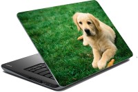 meSleep Dog LS-57-103 Vinyl Laptop Decal 15.6   Laptop Accessories  (meSleep)