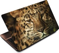 Anweshas Leopard LP047 Vinyl Laptop Decal 15.6   Laptop Accessories  (Anweshas)