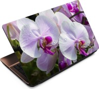 Finest Flower FL24 Vinyl Laptop Decal 15.6   Laptop Accessories  (Finest)