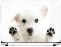 FineArts Puppy Vinyl Laptop Decal 15.6   Laptop Accessories  (FineArts)