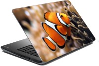 meSleep Orange Fish 70-762 Vinyl Laptop Decal 15.6   Laptop Accessories  (meSleep)
