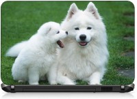 View VI Collections NATURE WHITE DOG pvc Laptop Decal 15.6 Laptop Accessories Price Online(VI Collections)