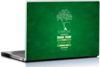 Seven Rays Rays Planted A Tree by Benjamin Franklin Laptop Skin Vinyl Laptop Decal 15.6   Laptop Accessories  (Seven Rays)