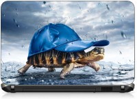 VI Collections TORTOISE IN CAP pvc Laptop Decal 15.6   Laptop Accessories  (VI Collections)