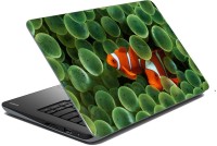 meSleep Orange Fish 70-775 Vinyl Laptop Decal 15.6   Laptop Accessories  (meSleep)