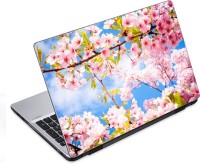 ezyPRNT White Pink Flower Nature (14 to 14.9 inch) Vinyl Laptop Decal 14   Laptop Accessories  (ezyPRNT)