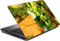 meSleep Green Grapes LS-80-531 Vinyl Laptop Decal 15.6   Laptop Accessories  (meSleep)
