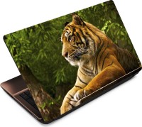 Anweshas Tiger T042 Vinyl Laptop Decal 15.6   Laptop Accessories  (Anweshas)