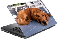 meSleep Dog LS-57-061 Vinyl Laptop Decal 15.6   Laptop Accessories  (meSleep)
