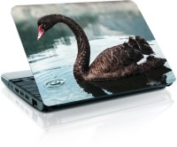 Shopmania Black Duck Vinyl Laptop Decal 15.6   Laptop Accessories  (Shopmania)