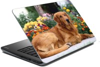 meSleep Dog LS-57-053 Vinyl Laptop Decal 15.6   Laptop Accessories  (meSleep)