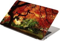 View Anweshas Beautifull Tree Vinyl Laptop Decal 15.6 Laptop Accessories Price Online(Anweshas)