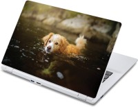 ezyPRNT Dog Swimming Pet Animal (13 to 13.9 inch) Vinyl Laptop Decal 13   Laptop Accessories  (ezyPRNT)