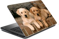 meSleep Dog LS-57-130 Vinyl Laptop Decal 15.6   Laptop Accessories  (meSleep)