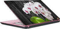 Dspbazar DSP BAZAR 5882 Vinyl Laptop Decal 15.6   Laptop Accessories  (DSPBAZAR)