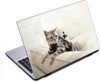ezyPRNT Cat on sofa Pet Animal (14 to 14.9 inch) Vinyl Laptop Decal 14   Laptop Accessories  (ezyPRNT)