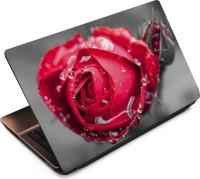 Finest Flower FL01 Vinyl Laptop Decal 15.6   Laptop Accessories  (Finest)
