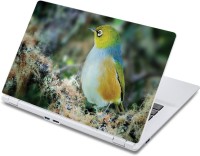 ezyPRNT Cute Bird Sit (13 to 13.9 inch) Vinyl Laptop Decal 13   Laptop Accessories  (ezyPRNT)