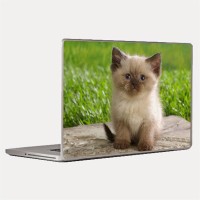 Theskinmantra Cutesy Laptop Decal 14.1   Laptop Accessories  (Theskinmantra)