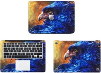 Swagsutra Eagle Flair Vinyl Laptop Decal 11   Laptop Accessories  (Swagsutra)