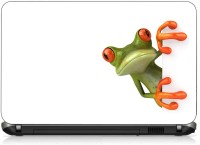 VI Collections MR FROG LOOKING pvc Laptop Decal 15.6   Laptop Accessories  (VI Collections)