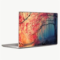 Theskinmantra Seasons Laptop Decal 14.1   Laptop Accessories  (Theskinmantra)