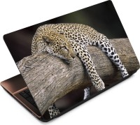 View Anweshas Leopard LP008 Vinyl Laptop Decal 15.6 Laptop Accessories Price Online(Anweshas)