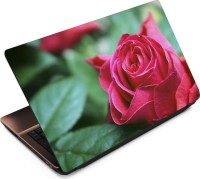 Finest Flower FL36 Vinyl Laptop Decal 15.6   Laptop Accessories  (Finest)